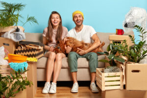 verhuizen met kat of hond voorbereiding hoeks